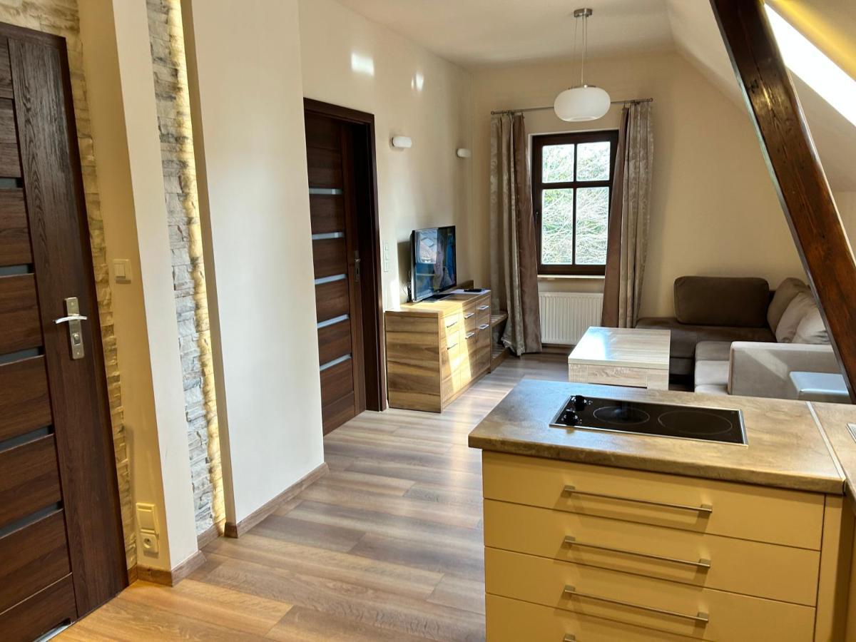 Apartamenty Silva Szklarska Poręba Εξωτερικό φωτογραφία